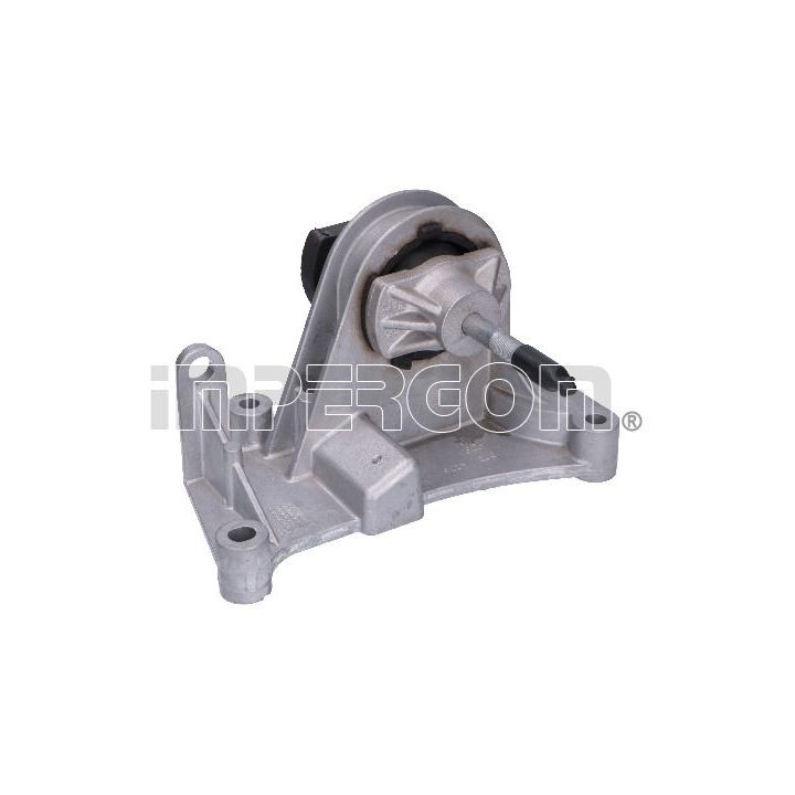 Variklio montavimas ORIGINAL IMPERIUM 25516