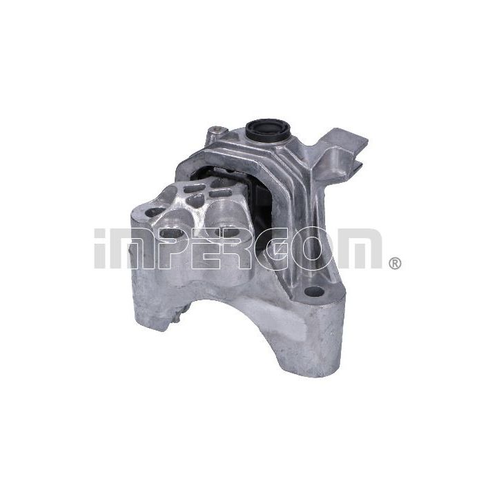 Variklio montavimas ORIGINAL IMPERIUM 25555