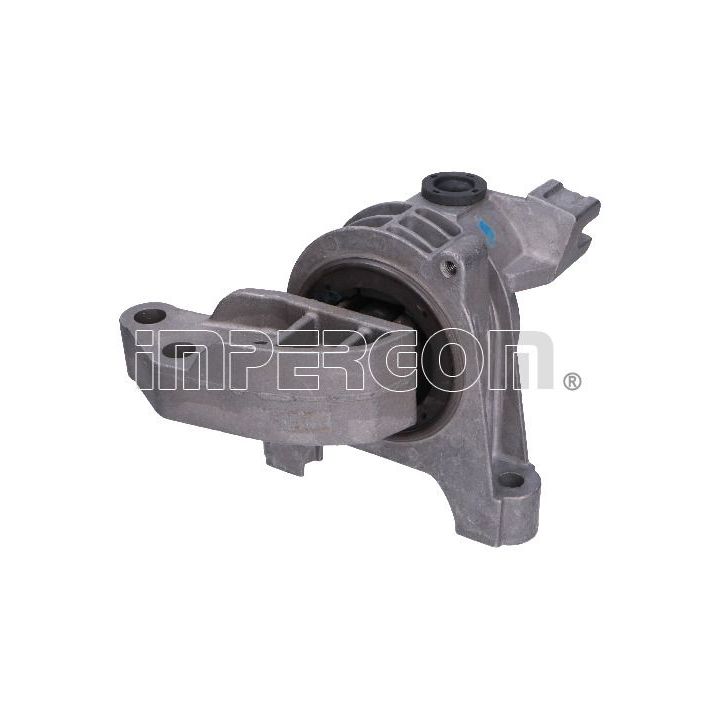 Variklio montavimas ORIGINAL IMPERIUM 25561