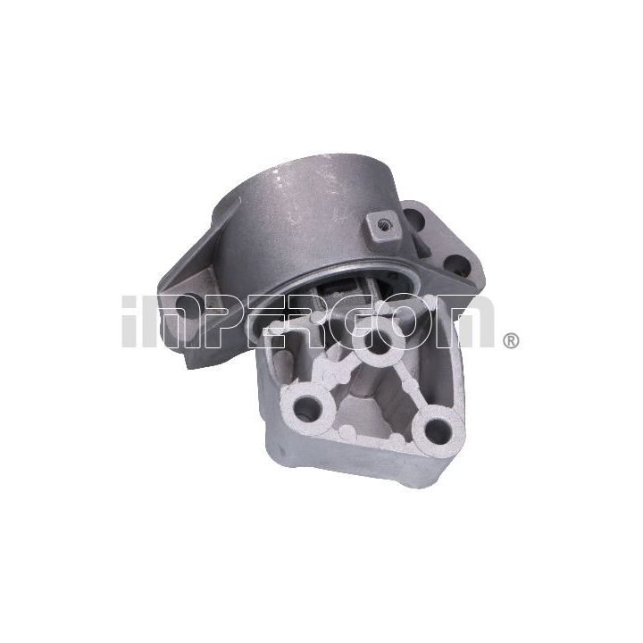 Variklio montavimas ORIGINAL IMPERIUM 25651