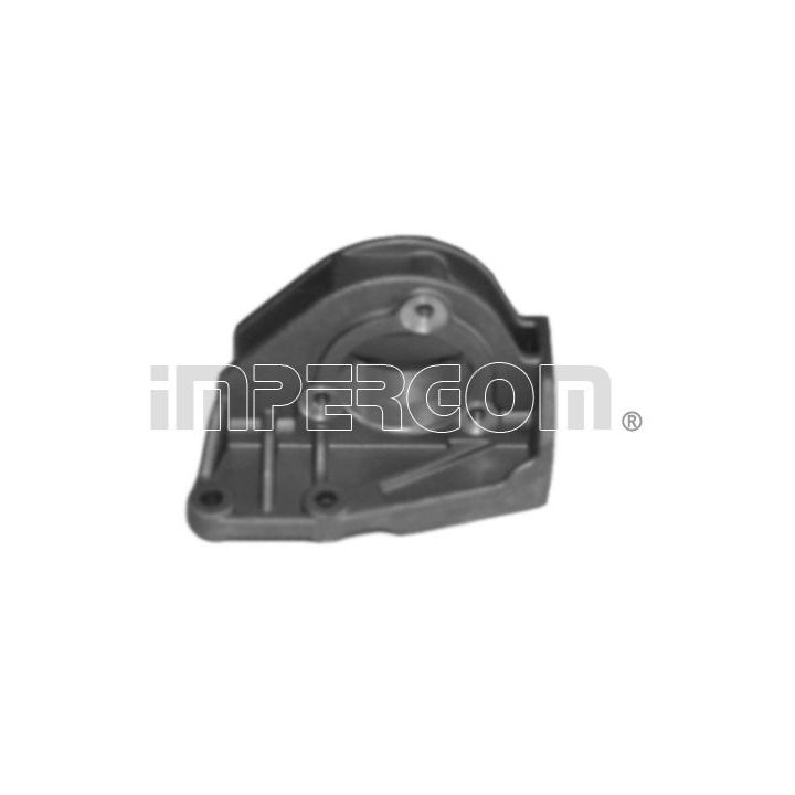 Variklio montavimas ORIGINAL IMPERIUM 25830