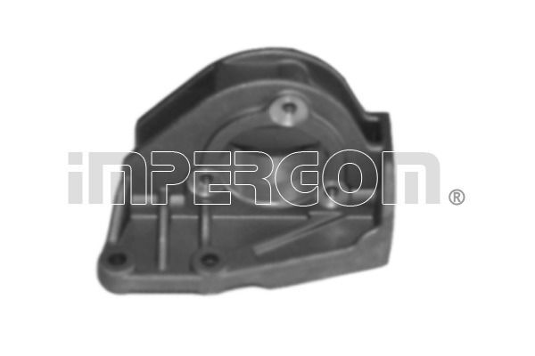 Variklio montavimas ORIGINAL IMPERIUM 25830