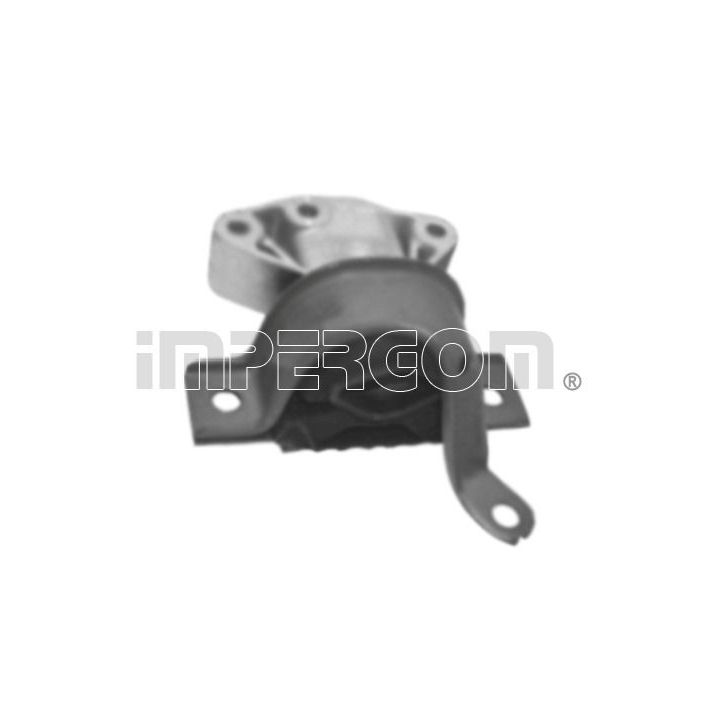 Variklio montavimas ORIGINAL IMPERIUM 25857