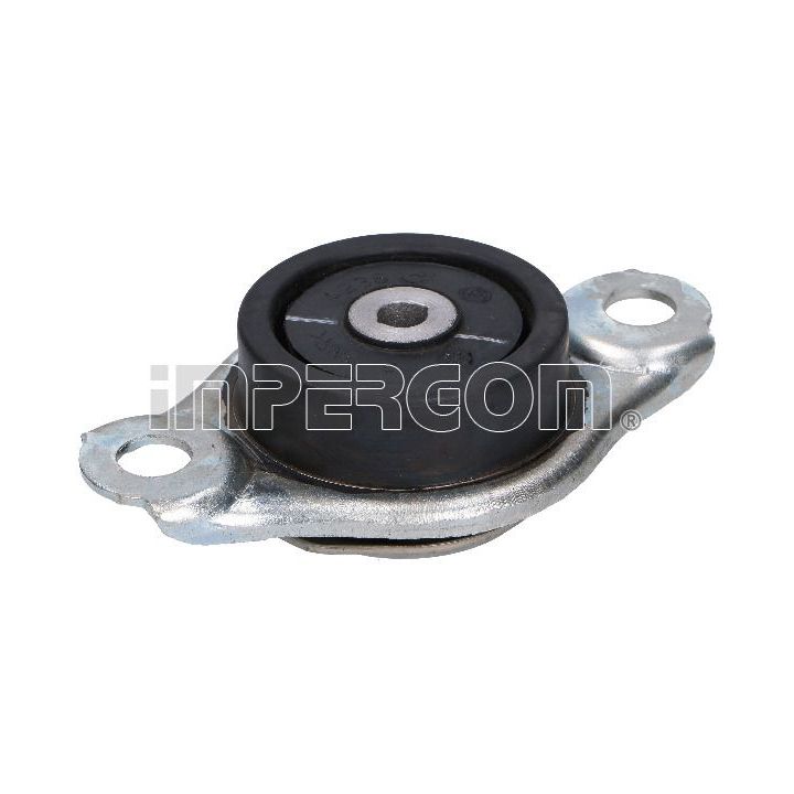 Variklio montavimas ORIGINAL IMPERIUM 25860