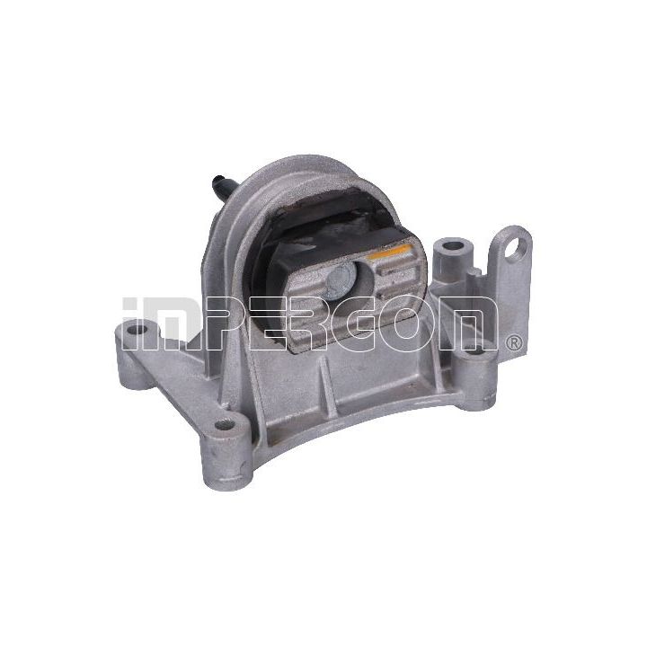 Variklio montavimas ORIGINAL IMPERIUM 25879