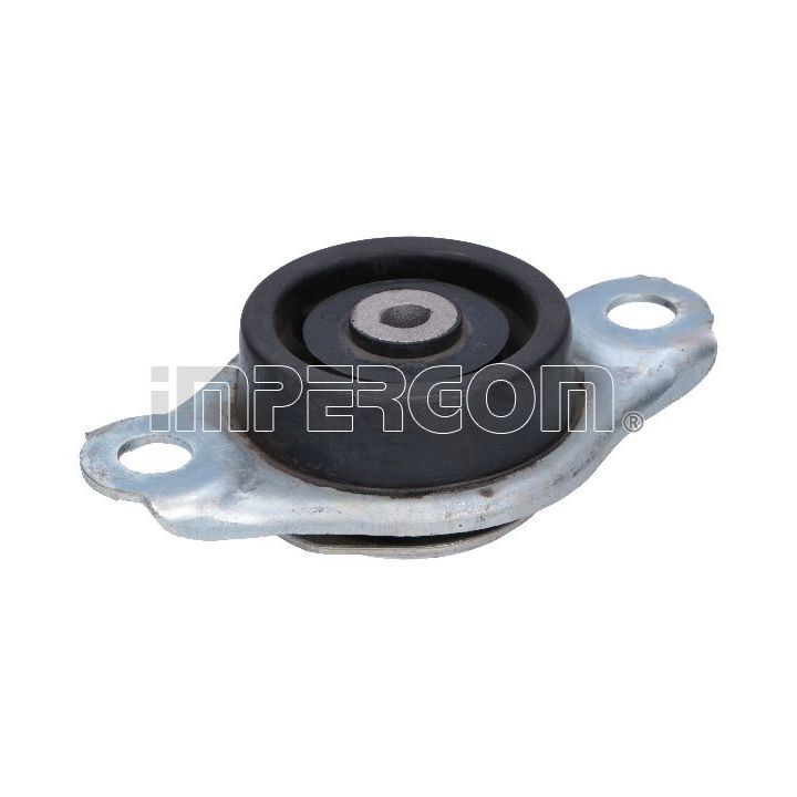 Variklio montavimas ORIGINAL IMPERIUM 25882