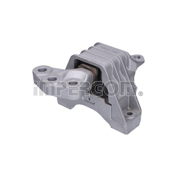 Variklio montavimas ORIGINAL IMPERIUM 25900