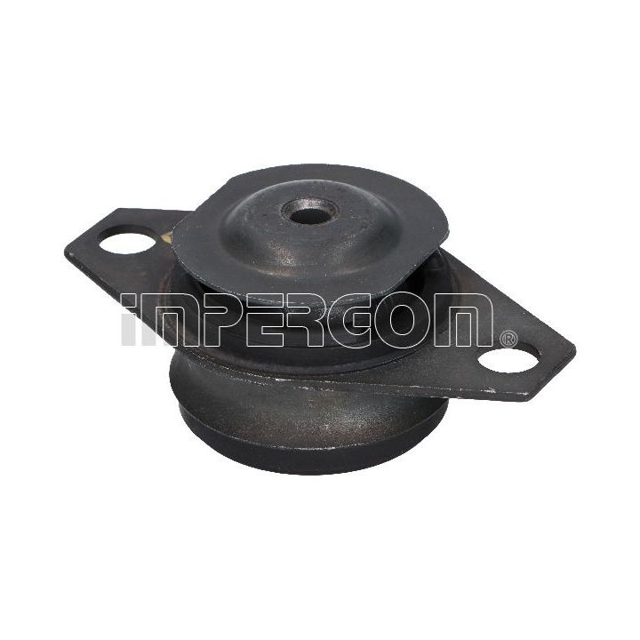 Variklio montavimas ORIGINAL IMPERIUM 26000