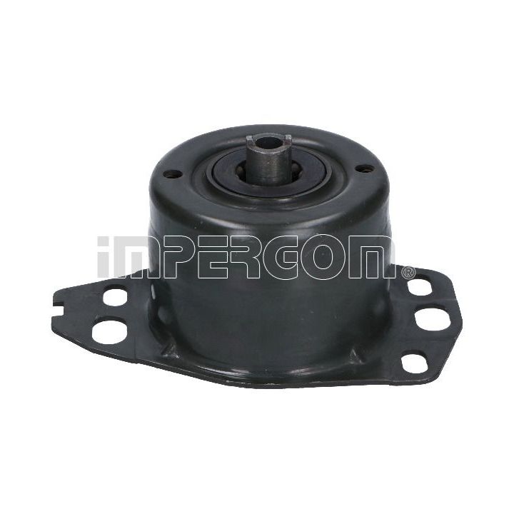 Variklio montavimas ORIGINAL IMPERIUM 26329