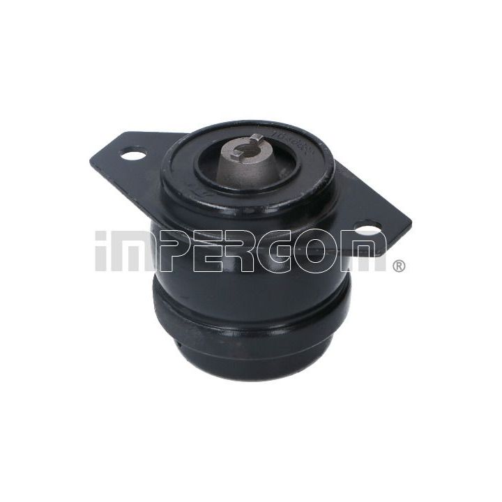 Variklio montavimas ORIGINAL IMPERIUM 26571