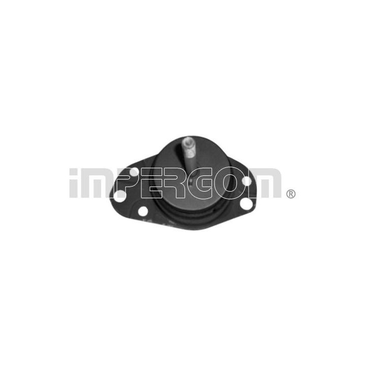 Variklio montavimas ORIGINAL IMPERIUM 26911