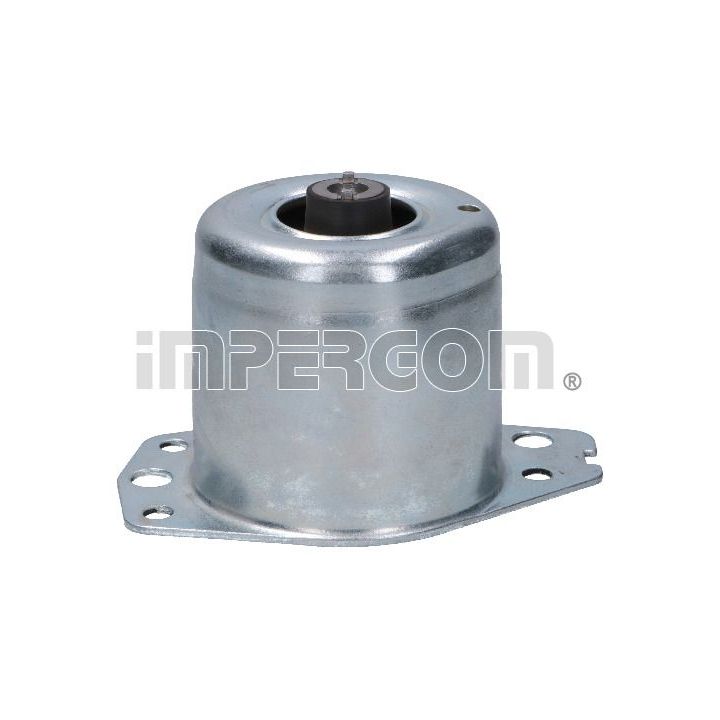 Variklio montavimas ORIGINAL IMPERIUM 27289