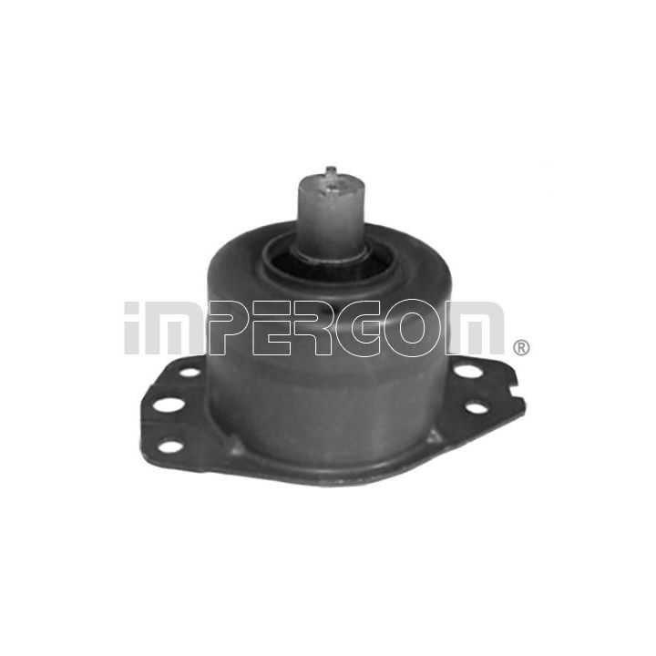 Variklio montavimas ORIGINAL IMPERIUM 27505