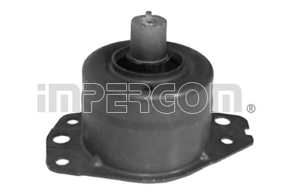 Variklio montavimas ORIGINAL IMPERIUM 27505