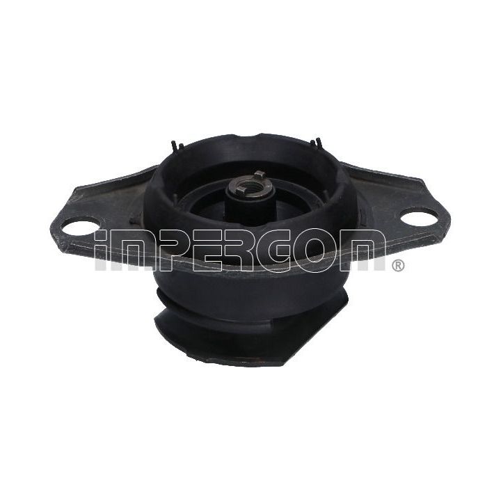 Variklio montavimas ORIGINAL IMPERIUM 27507