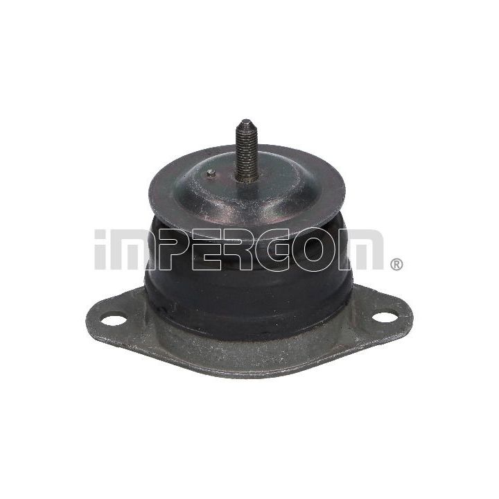 Variklio montavimas ORIGINAL IMPERIUM 28082