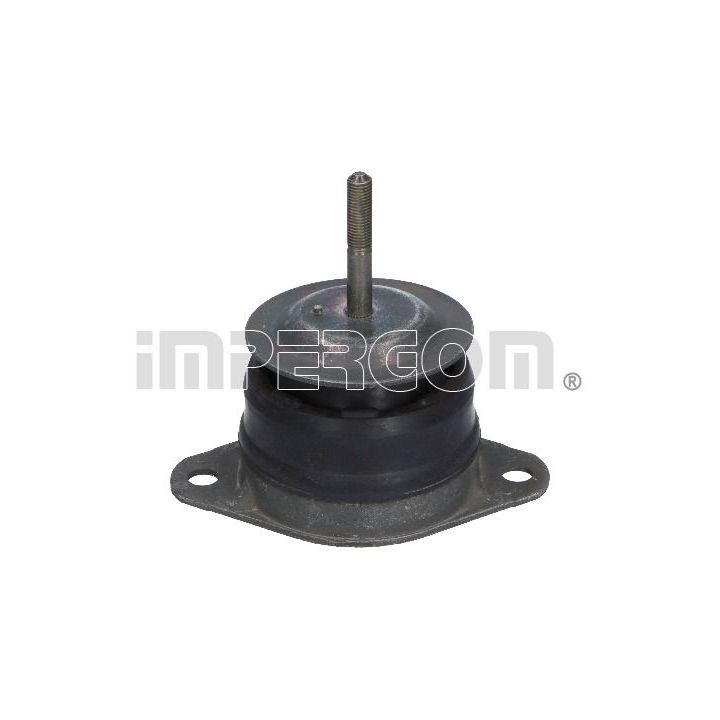 Variklio montavimas ORIGINAL IMPERIUM 29010