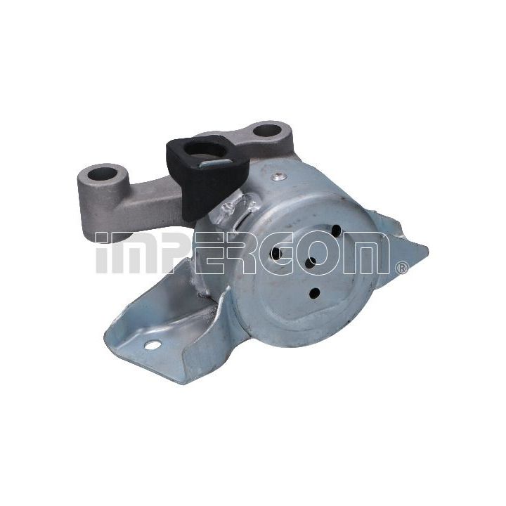 Variklio montavimas ORIGINAL IMPERIUM 29089