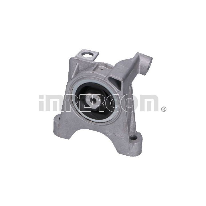 Variklio montavimas ORIGINAL IMPERIUM 29104