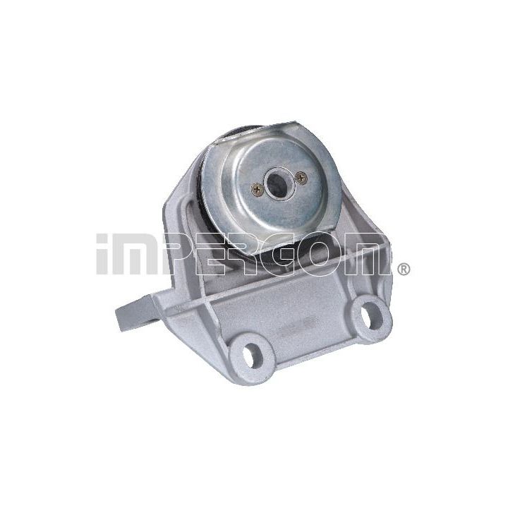 Variklio montavimas ORIGINAL IMPERIUM 29120