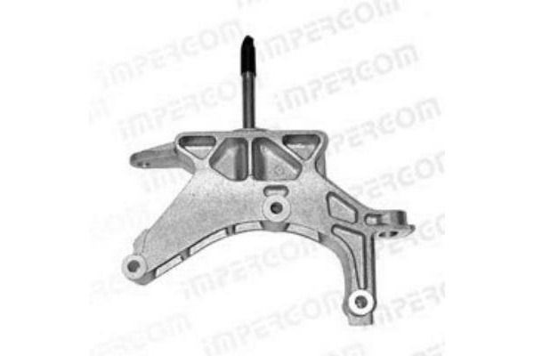 Variklio montavimas ORIGINAL IMPERIUM 29284