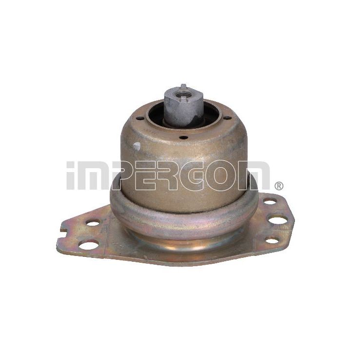 Variklio montavimas ORIGINAL IMPERIUM 29300