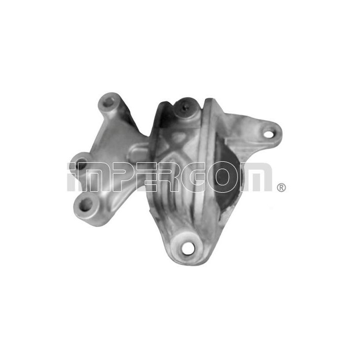 Variklio montavimas ORIGINAL IMPERIUM 29350