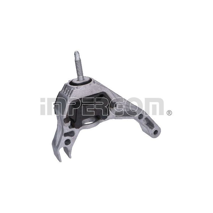 Variklio montavimas ORIGINAL IMPERIUM 29358