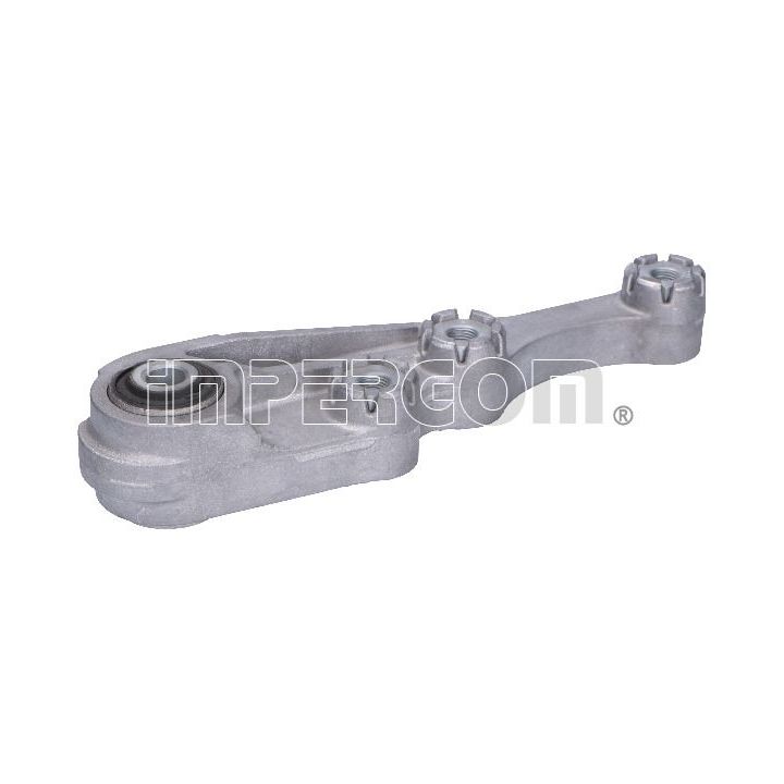 Variklio montavimas ORIGINAL IMPERIUM 29997