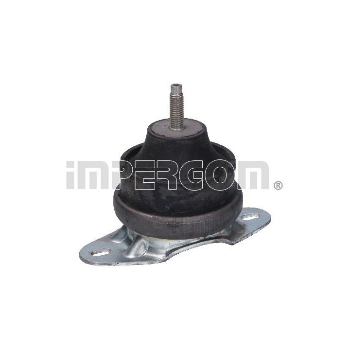 Variklio montavimas ORIGINAL IMPERIUM 30944