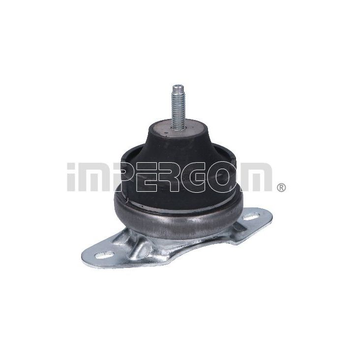 Variklio montavimas ORIGINAL IMPERIUM 30946