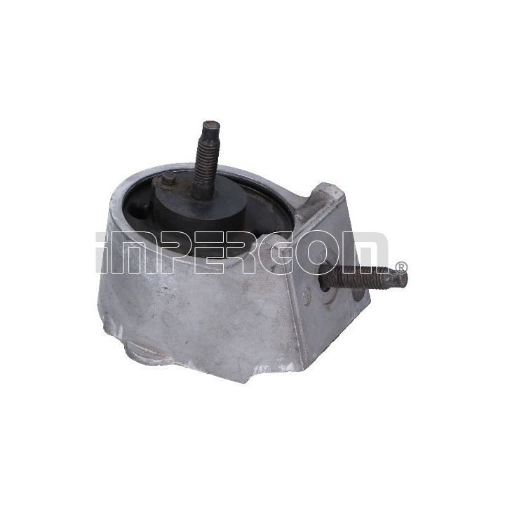 Variklio montavimas ORIGINAL IMPERIUM 31536