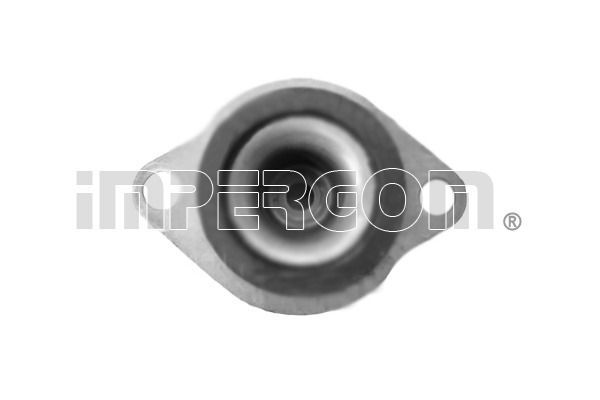 Variklio montavimas ORIGINAL IMPERIUM 31634