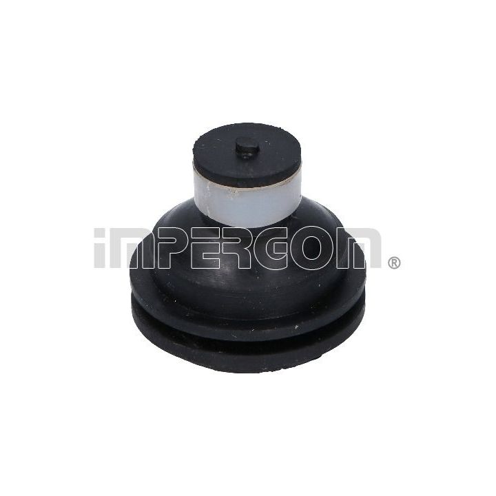 Variklio montavimas ORIGINAL IMPERIUM 31651