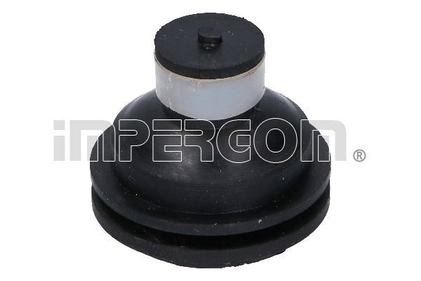 Variklio montavimas ORIGINAL IMPERIUM 31651