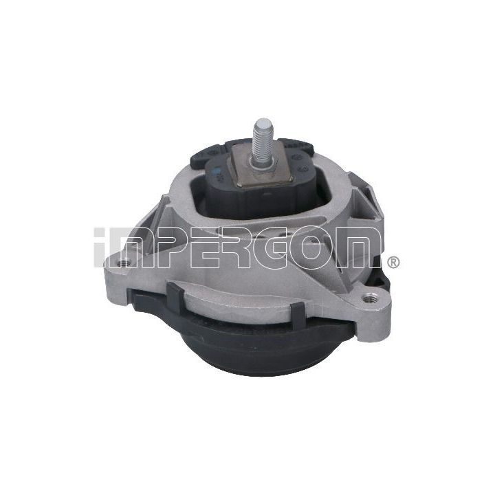 Variklio montavimas ORIGINAL IMPERIUM 31714