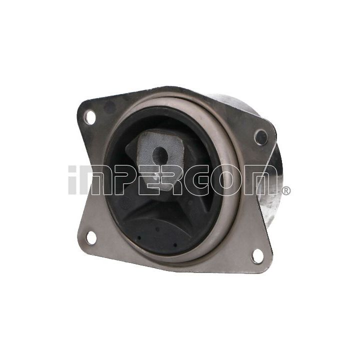 Variklio montavimas ORIGINAL IMPERIUM 31760/N