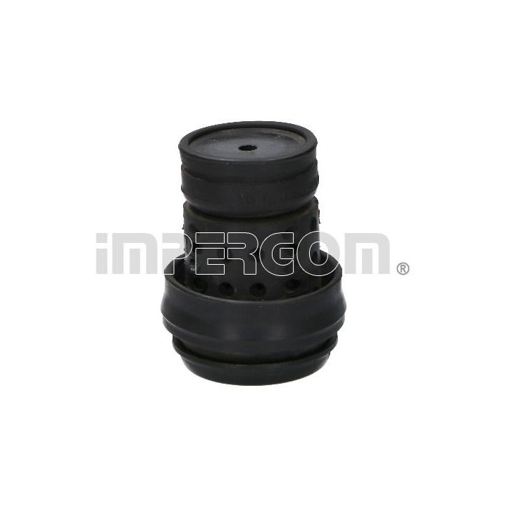 Variklio montavimas ORIGINAL IMPERIUM 32235