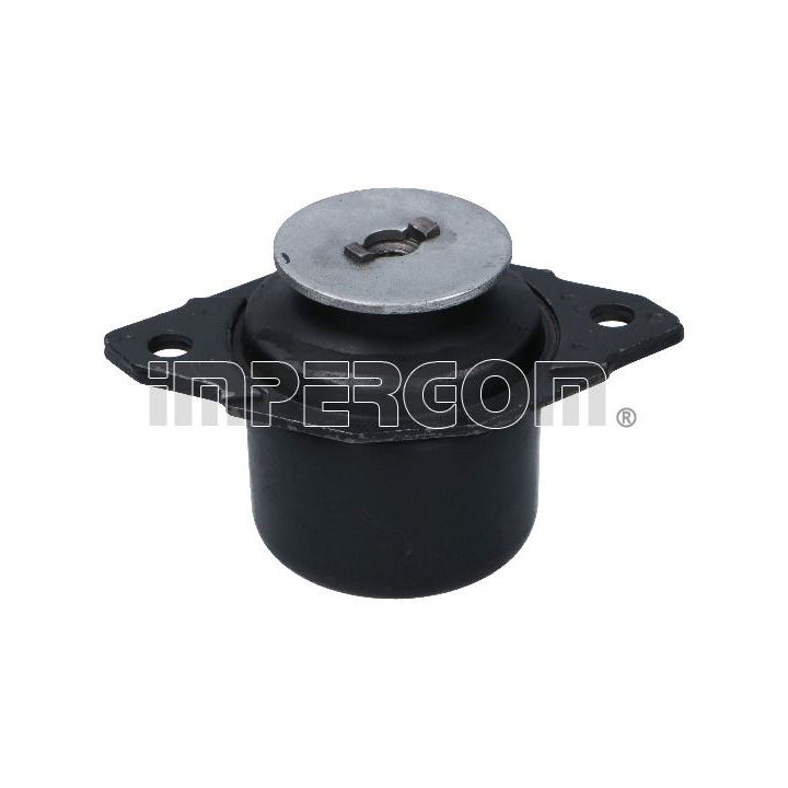 Variklio montavimas ORIGINAL IMPERIUM 32260