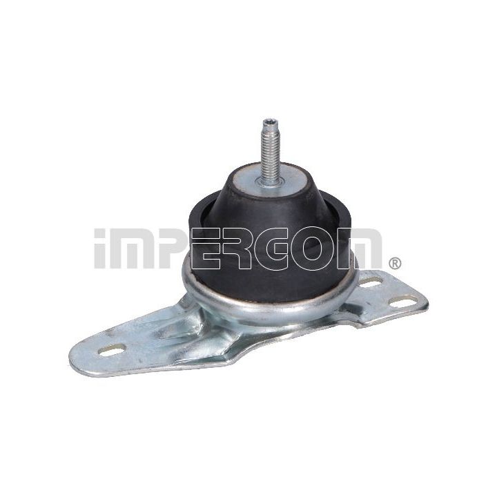 Variklio montavimas ORIGINAL IMPERIUM 32937