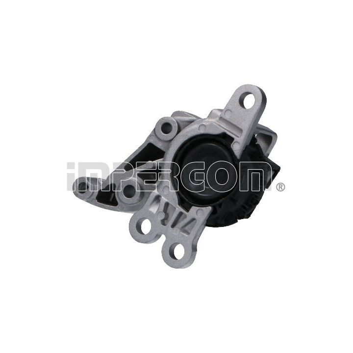 Variklio montavimas ORIGINAL IMPERIUM 34610