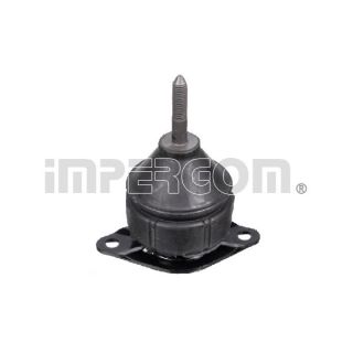 Variklio montavimas ORIGINAL IMPERIUM 34849