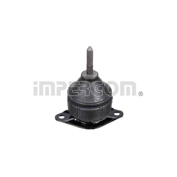 Variklio montavimas ORIGINAL IMPERIUM 34849