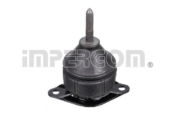 Variklio montavimas ORIGINAL IMPERIUM 34849