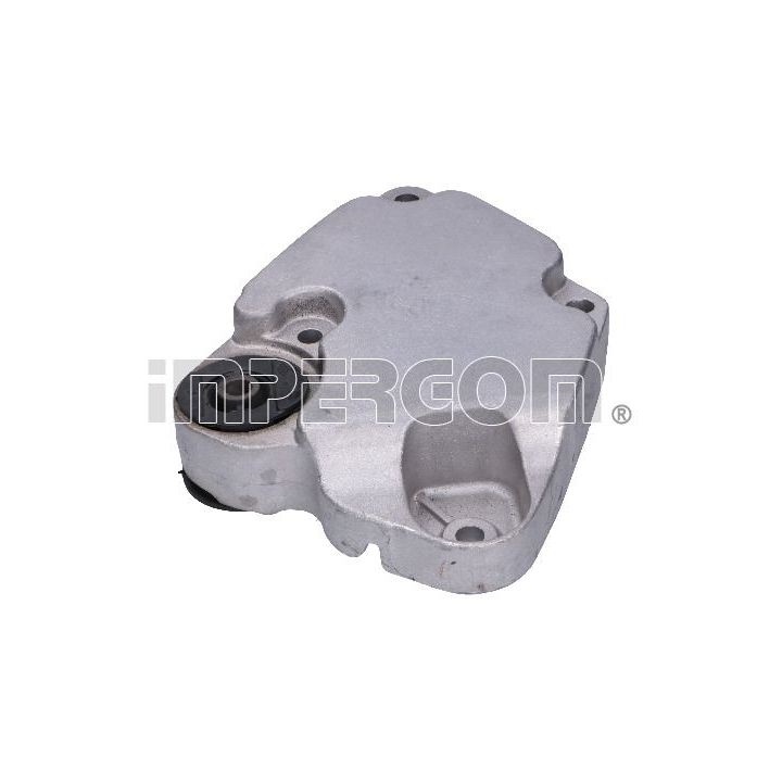 Variklio montavimas ORIGINAL IMPERIUM 36559