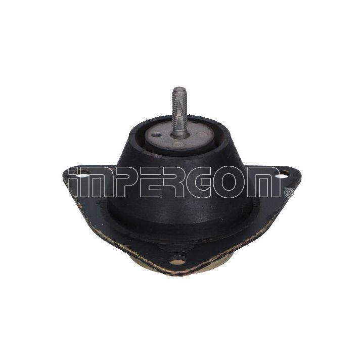 Variklio montavimas ORIGINAL IMPERIUM 36612