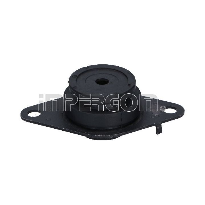 Variklio montavimas ORIGINAL IMPERIUM 36613