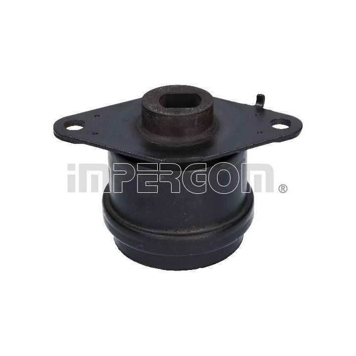 Variklio montavimas ORIGINAL IMPERIUM 36615