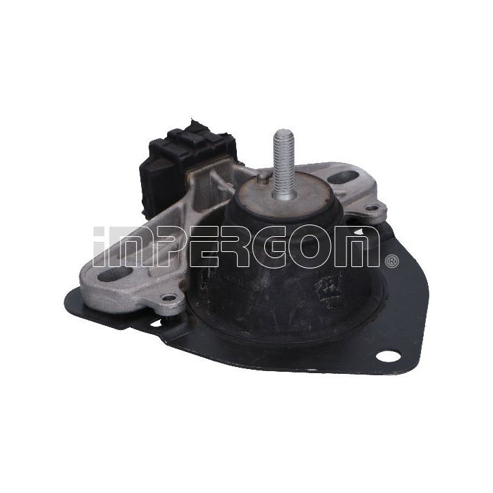 Variklio montavimas ORIGINAL IMPERIUM 36621