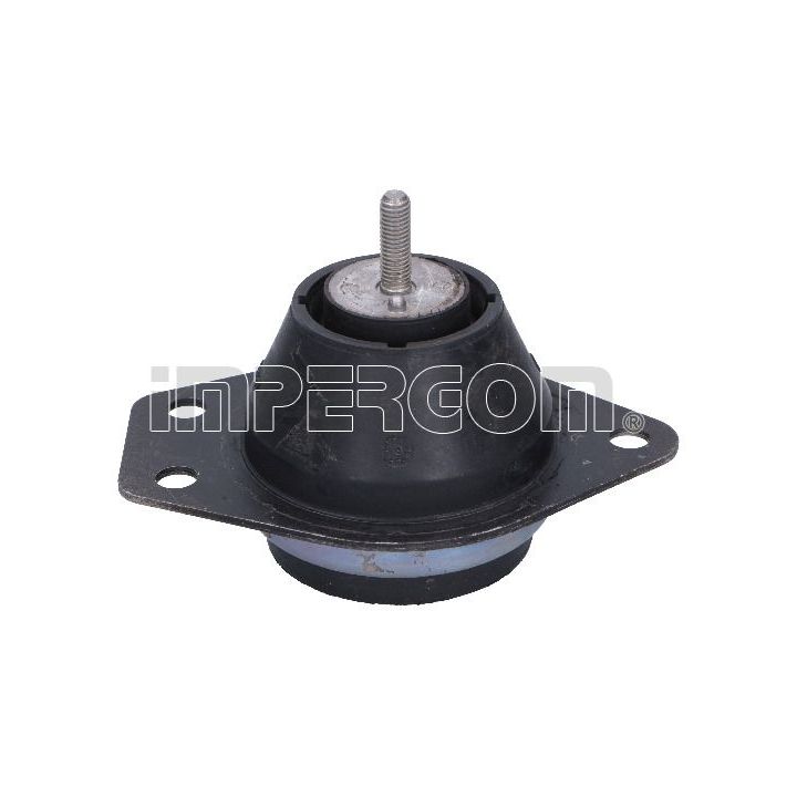 Variklio montavimas ORIGINAL IMPERIUM 36694